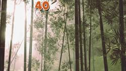 I WONDER - What Do Red Pandas Eat? Instructional Video