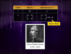 Evaluating Determinants Instructional Video