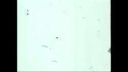 They Made news Prog 3, part 10: Mike Lewis filmed paratroopers and supply planes in Arnhem in WW2 Stock Footage