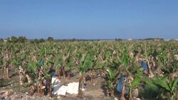 CLEAN : Lebanese soldiers and UN patrols stand guard after overnight rocket fire News Clip