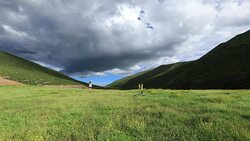 Young fitness woman trail runner running on grassland Stock Footage