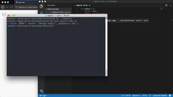 The Modern JavaScript Bootcamp (2019) - Object Basics Instructional Video