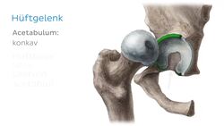 Hüftgelenk Instructional Video