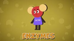 I WONDER - What Is An Enzyme? Instructional Video