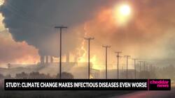 Study Shows Infectious Diseases Might Be Worsening Due to Climate Change News Clip