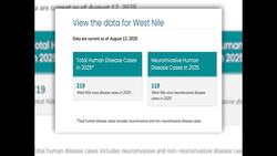 West Nile virus cases continue to increase; infected mosquitoes discovered in CT and NY News Clip
