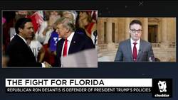 Florida Primaries Look Like Microcosm for Midterms News Clip