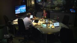 Public health head Dr. Eileen de Villa stepping down in December News Clip