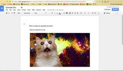 How to Make a Copy of a Google Doc Instructional Video