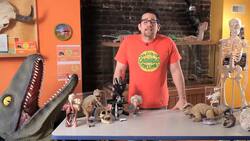 Science Projects with Carmelo the Science Fellow Instructional Video