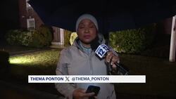 Ban on feeding, keeping feral cats at issue during Babylon public hearing News Clip