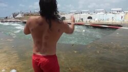 CLEAN : Hundreds of Jellyfish wash up on Beirut shores News Clip