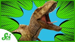 There’s A New Tyrannosaurus in Town Instructional Video