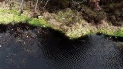 Drone - Plastic Pollution News Clip