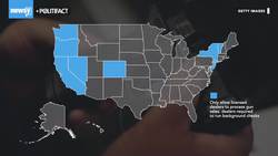 What The Fact: Analyzing Support For Gun Background Checks News Clip