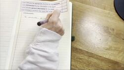 Writing the conclusion of a non-chronological report about tigers Instructional Video