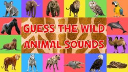 Guess The Wild Animal Sounds For Kids Instructional Video