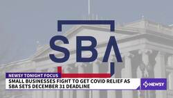 Newsy Investigates: Small Businesses Still Locked Out Of Aid Program News Clip