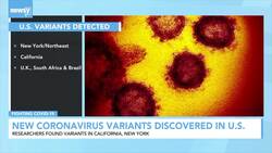 New Coronavirus Variants Discovered In U.S. News Clip