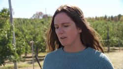 New mental health support for N.B. farmers News Clip