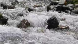 Rapid river splashing and flowing on rocks in mountain valley, slow motion Stock Footage