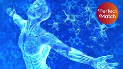 Human-Animal Chimeras, The Future of Medicine? Instructional Video