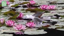 3 Ways To Enjoy The Outdoors - Happiness Made Simple With Dr. Woody Instructional Video