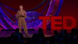 TED: How to share public money fairly | Maja Bosnic Instructional Video
