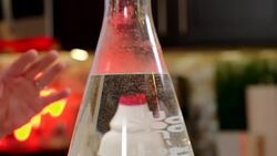 DIY Sci: Breakfast Cheese Puff Heartburn Instructional Video