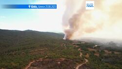 European Court of Auditors flags inefficiencies in EU wildfire spending News Clip