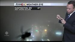 Arachnophobic weatherman gets fright of his life News Clip