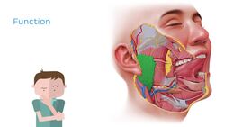 Parotid gland Instructional Video