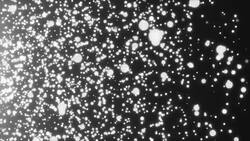 Many abstract small white particles in space, computer generated abstract background Stock Footage