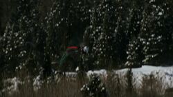 Quebec City's Lewis Irving wins aerials silver in his hometown World Cup event in Lac-Beauport News Clip