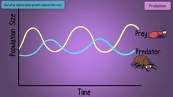 Ecological Relationships Instructional Video