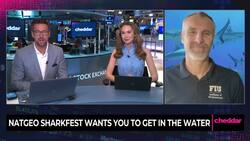 Why Sharks Are All Up In Our Business This Summer News Clip