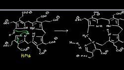 Uroporphyrinogen III Synthase: Physiology, Biochemistry, and Organic Mechanism Instructional Video