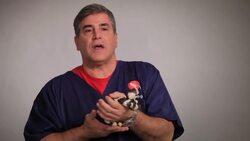 What to Do If Your Snake Won't Eat Instructional Video