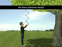 Transverse and Longitudinal Waves Instructional Video