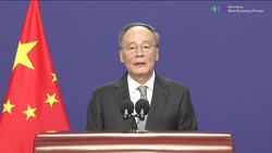 China Vice President Wang Qishan Addresses Pandemic Recovery News Clip