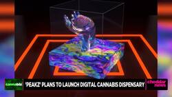 Peakz Launching Its Own Digital Cannabis Dispensary, Offers NFT Courses News Clip