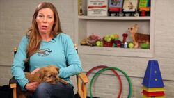 How to Stop Your Dog from Eating Poop Instructional Video