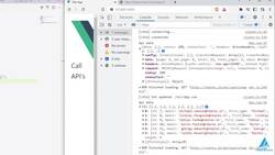 The Complete Vue.js Course for Beginners - Sending API Data Instructional Video