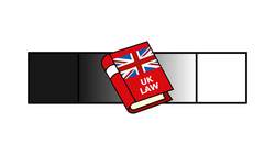 Bercow’s Plot to Derail Brexit? - Brexit Explained. Instructional Video