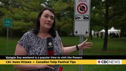 Tips to take in the Tulip Festival this long weekend News Clip