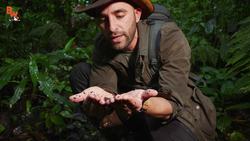 NOT A WORM?!? Instructional Video