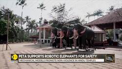 Tech takes over: Elephants go robotic News Clip