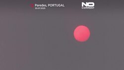 Portugal battles major wildfires during intense summer heat News Clip