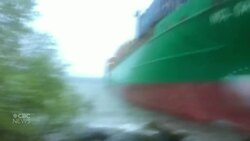 #TheMoment a Norwegian couple woke up to a cargo ship on their lawn News Clip