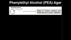 Microbiology: Phenylethyl Alcohol (PEA) Agar Instructional Video